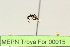  ( - MEPN Troya For 00015)  @11 [ ] Copyright (2012) Adrian Troya MEPN