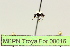  ( - MEPN Troya For 00016)  @11 [ ] Copyright (2012) Adrian Troya MEPN