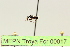  ( - MEPN Troya For 00017)  @11 [ ] Copyright (2012) Adrian Troya MEPN