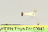  ( - MEPN Troya For 00043)  @12 [ ] Copyright (2012) Adrian Troya MEPN