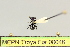  ( - MEPN Troya For 00046)  @12 [ ] Copyright (2012) Adrian Troya MEPN