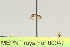  ( - MEPN Troya For 00047)  @11 [ ] Copyright (2012) Adrian Troya MEPN