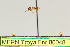 ( - MEPN Troya For 00048)  @11 [ ] Copyright (2012) Adrian Troya MEPN