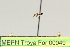  ( - MEPN Troya For 00049)  @11 [ ] Copyright (2012) Adrian Troya MEPN