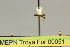  ( - MEPN Troya For 00051)  @11 [ ] Copyright (2012) Adrian Troya MEPN