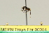  ( - MEPN Troya For 00054)  @11 [ ] Copyright (2012) Adrian Troya MEPN