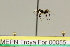  ( - MEPN Troya For 00055)  @11 [ ] Copyright (2012) Adrian Troya MEPN