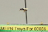  ( - MEPN Troya For 00056)  @11 [ ] Copyright (2012) Adrian Troya MEPN