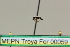  ( - MEPN Troya For 00059)  @11 [ ] Copyright (2012) Adrian Troya MEPN