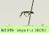  ( - MEPN Troya For 00087)  @11 [ ] Copyright (2012) Adrian Troya MEPN