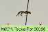  ( - MEPN Troya For 00088)  @11 [ ] Copyright (2012) Adrian Troya MEPN