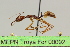  ( - MEPN Troya For 00092)  @14 [ ] Copyright (2012) Adrian Troya MEPN