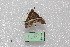  ( - MA_LEP08)  @11 [ ] CreativeCommons - Attribution Non-Commercial Share-Alike (2022) Unspecified USGS Pacific Island Ecosystems Research Center
