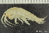  ( - NTNU-VM_78127)  @11 [ ] Creative Commons BY NC SA (2020) University of Bergen Natural History Collections