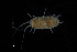  ( - UMBergen_HBF_A32)  @11 [ ] Creative Commons BY NC SA (2020) University of Bergen Natural History Collections