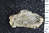  ( - ZMBN_130132)  @11 [ ] CreativeCommons - Attribution Non-Commercial Share-Alike (2019) University of Bergen Natural History Collections