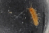  ( - ZMBN_130425)  @11 [ ] CreativeCommons - Attribution Non-Commercial Share-Alike (2019) University of Bergen Natural History Collections