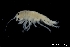  ( - ZMBN_130565)  @11 [ ] Creative Commons BY NC SA (2020) University of Bergen Natural History Collections