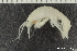  ( - ZMBN_130567)  @11 [ ] Creative Commons BY NC SA (2020) University of Bergen Natural History Collections