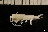  ( - ZMBN_131426)  @11 [ ] Creative Commons BY NC SA (2022) University of Bergen Natural History Collections
