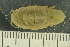  ( - ZMBN_132548)  @11 [ ] CreativeCommons - Attribution Non-Commercial Share-Alike (2019) University of Bergen Natural History Collections