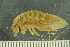  ( - ZMBN_132548)  @11 [ ] CreativeCommons - Attribution Non-Commercial Share-Alike (2019) University of Bergen Natural History Collections