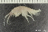  ( - ZMBN_136216)  @11 [ ] Creative Commons BY NC SA (2020) University of Bergen Natural History Collections