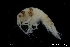  ( - ZMBN_136225)  @11 [ ] Creative Commons BY NC SA (2020) University of Bergen Natural History Collections