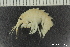  ( - ZMBN_136244)  @11 [ ] Creative Commons BY NC SA (2020) University of Bergen Natural History Collections