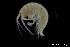  ( - ZMBN_136314)  @11 [ ] Creative Commons BY NC SA (2020) University of Bergen Natural History Collections