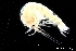  ( - ZMBN_136422)  @11 [ ] Creative Commons BY NC SA (2020) University of Bergen Natural History Collections