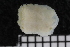  ( - ZMBN_136457)  @11 [ ] Creative Commons BY NC SA (2020) University of Bergen Natural History Collections