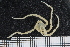  ( - ZMBN_136484)  @11 [ ] Creative Commons BY NC SA (2020) University of Bergen Natural History Collections