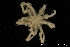  ( - ZMBN_136864)  @11 [ ] Creative Commons BY NC SA (2020) University of Bergen Natural History Collections