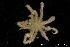  ( - ZMBN_136864)  @11 [ ] Creative Commons BY NC SA (2020) University of Bergen Natural History Collections