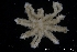  ( - ZMBN_136865)  @11 [ ] Creative Commons BY NC SA (2020) University of Bergen Natural History Collections