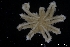  ( - ZMBN_136865)  @11 [ ] Creative Commons BY NC SA (2020) University of Bergen Natural History Collections