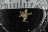  ( - ZMBN_136870)  @11 [ ] Creative Commons BY NC SA (2020) University of Bergen Natural History Collections