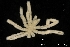  ( - ZMBN_136879)  @11 [ ] Creative Commons BY NC SA (2020) University of Bergen Natural History Collections