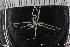  ( - ZMBN_136881)  @11 [ ] Creative Commons BY NC SA (2020) University of Bergen Natural History Collections