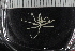  ( - ZMBN_136882)  @11 [ ] Creative Commons BY NC SA (2020) University of Bergen Natural History Collections