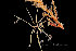  ( - ZMBN_136882)  @11 [ ] Creative Commons BY NC SA (2020) University of Bergen Natural History Collections