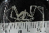 ( - ZMBN_136883)  @11 [ ] Creative Commons BY NC SA (2020) University of Bergen Natural History Collections