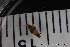  ( - ZMBN_136949)  @11 [ ] Creative Commons BY NC SA (2022) University of Bergen Natural History Collections