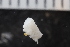  ( - ZMBN_136973)  @11 [ ] Creative Commons BY NC SA (2020) University of Bergen Natural History Collections