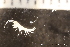  ( - ZMBN_137024)  @11 [ ] Creative Commons BY NC SA (2022) University of Bergen Natural History Collections
