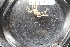  ( - ZMBN_137802)  @11 [ ] Creative Commons BY NC SA (2020) University of Bergen Natural History Collections