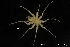  ( - ZMBN_137817)  @11 [ ] Creative Commons BY NC SA (2020) University of Bergen Natural History Collections