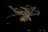  ( - ZMBN_137823)  @11 [ ] Creative Commons BY NC SA (2020) University of Bergen Natural History Collections
