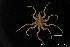  ( - ZMBN_137824)  @11 [ ] Creative Commons BY NC SA (2020) University of Bergen Natural History Collections